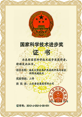 国家科学手艺前进奖