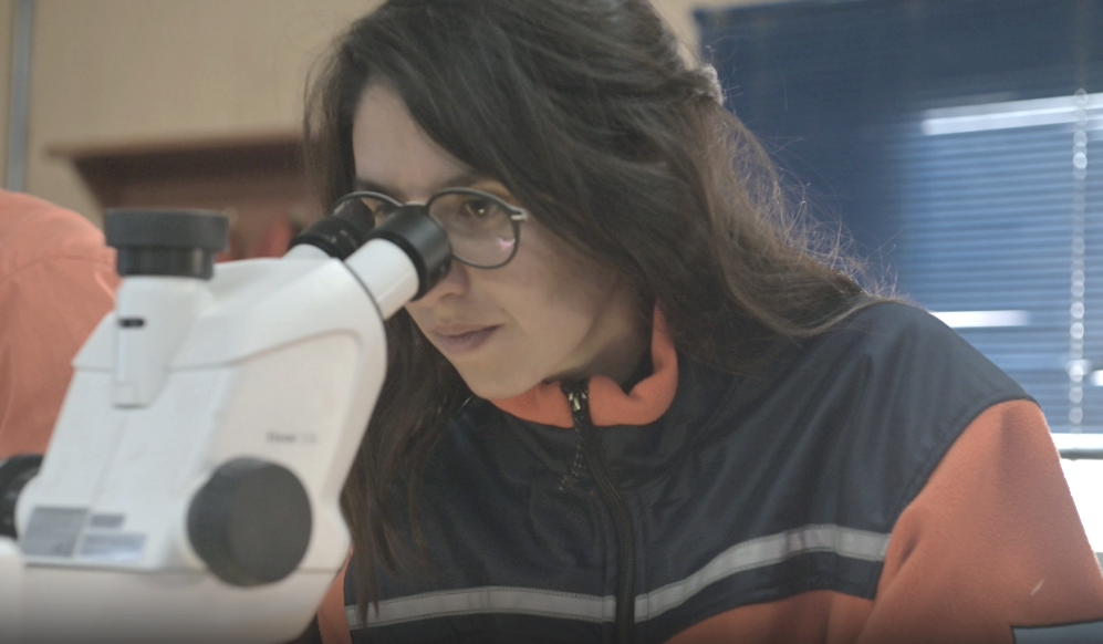 兴发娱乐·xf187(中国集团)官方网站