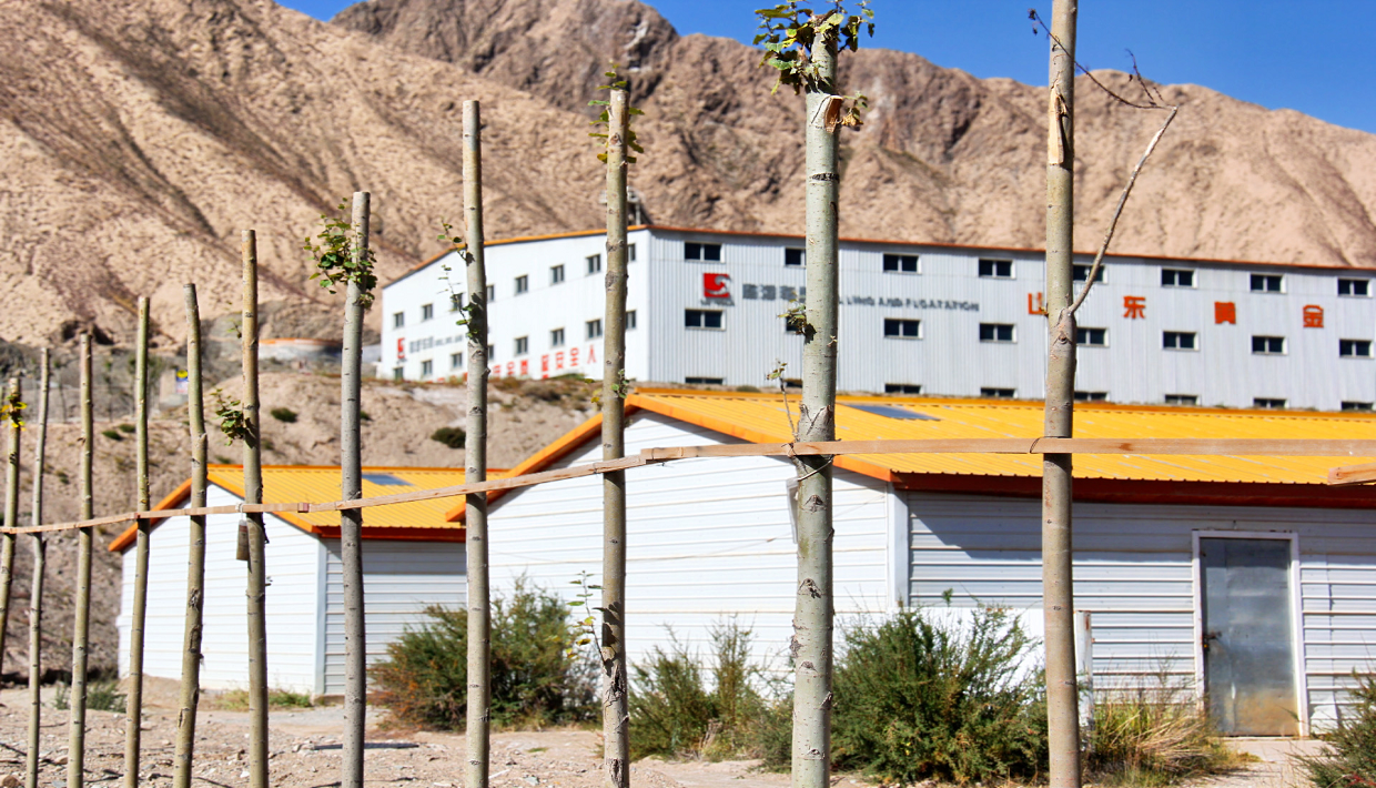 兴发娱乐·xf187(中国集团)官方网站